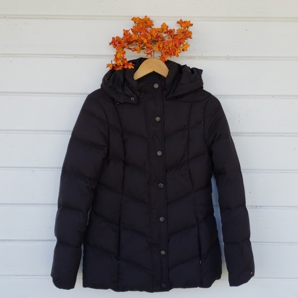 Tommy Hilfiger Jackets & Blazers - Tommy Hilfiger Black Puffer Coat in Medium